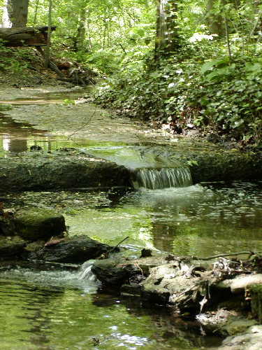 Small waterfall on Camelback Run in the Conservation Area.